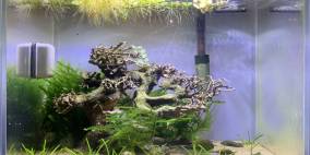 Nansui - Flowgrow Aquascape/Aquarien-Datenbank