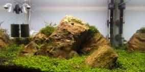 Natural Stone - Flowgrow Aquascape/Aquarien-Datenbank