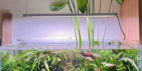 Offshore - Flowgrow Aquascape/Aquarien-Datenbank