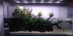 PALU - Flowgrow Aquascape/Aquarien-Datenbank