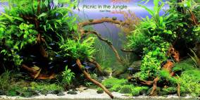 A Picnic in the Jungle - Flowgrow Aquascape/Aquarien-Datenbank