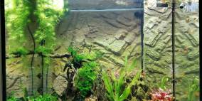 Planted Fish Tank - Flowgrow Aquascape/Aquarien-Datenbank