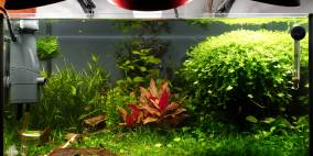 Projekt JRS - Flowgrow Aquascape/Aquarien-Datenbank