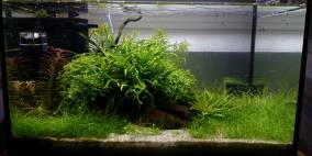 Rangeland - Flowgrow Aquascape/Aquarien-Datenbank