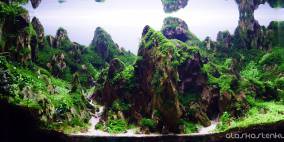 Sherpas way home - Flowgrow Aquascape/Aquarien-Datenbank