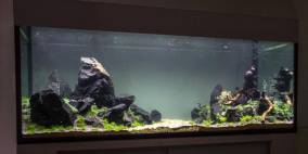 Stiller Garten - Flowgrow Aquascape/Aquarien-Datenbank