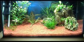 Stone Hills - Flowgrow Aquascape/Aquarien-Datenbank