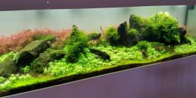 Wasserglas 3 - Flowgrow Aquascape/Aquarien-Datenbank