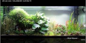 Woidwasser - Flowgrow Aquascape/Aquarien-Datenbank