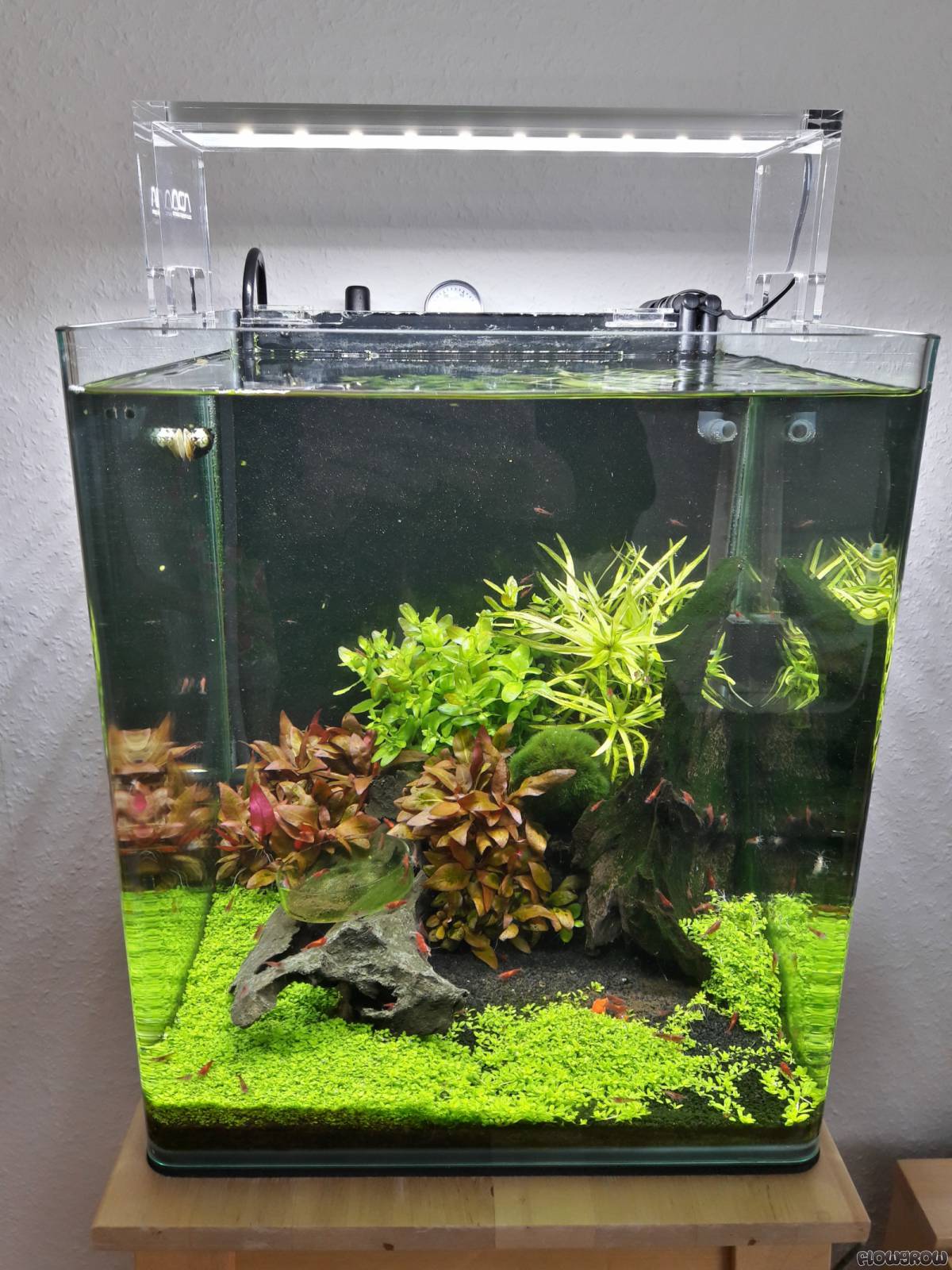 Nano Aquarium 30l www inf inet com