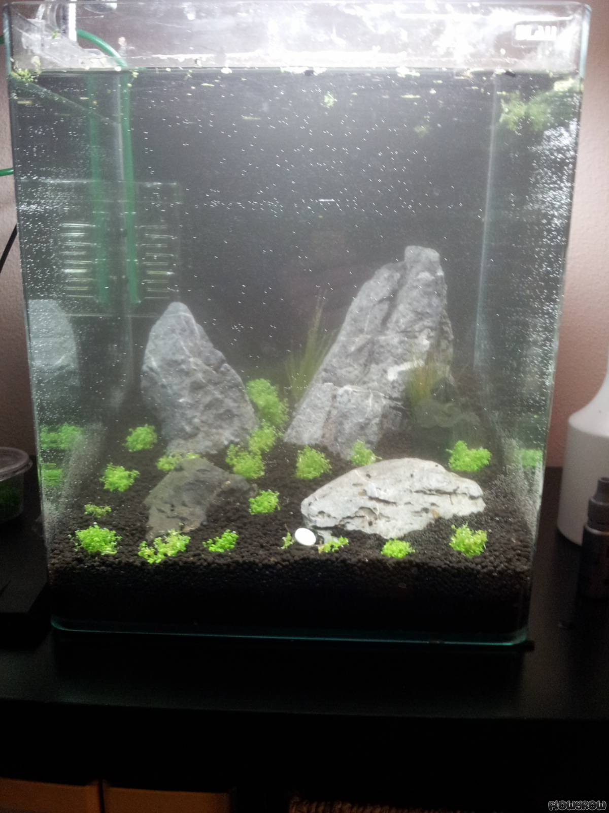 30l Nano Cube Iwagumi - Flowgrow Aquascape/Aquarium Database