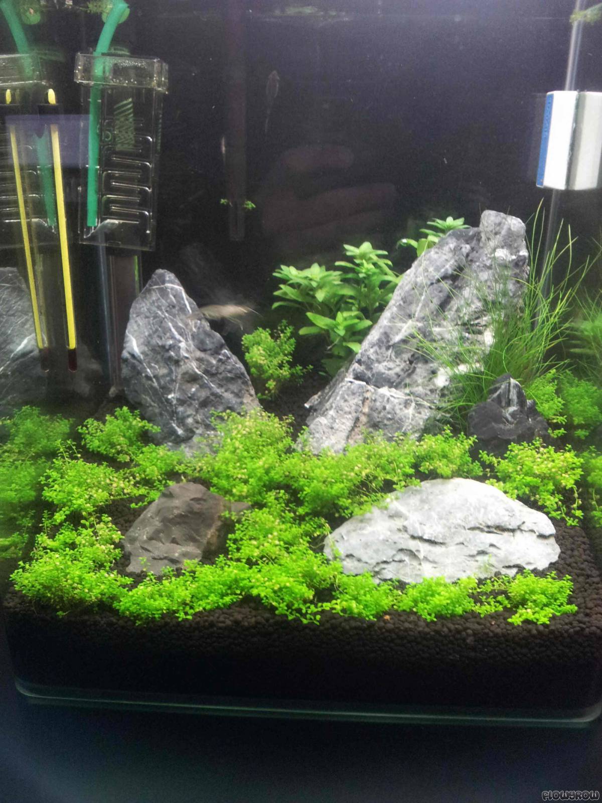 30l Nano Cube Iwagumi - Flowgrow Aquascape/Aquarium Database
