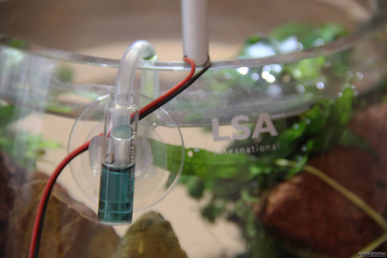 4Liter Vase Flowgrow Aquascape/Aquarium Database