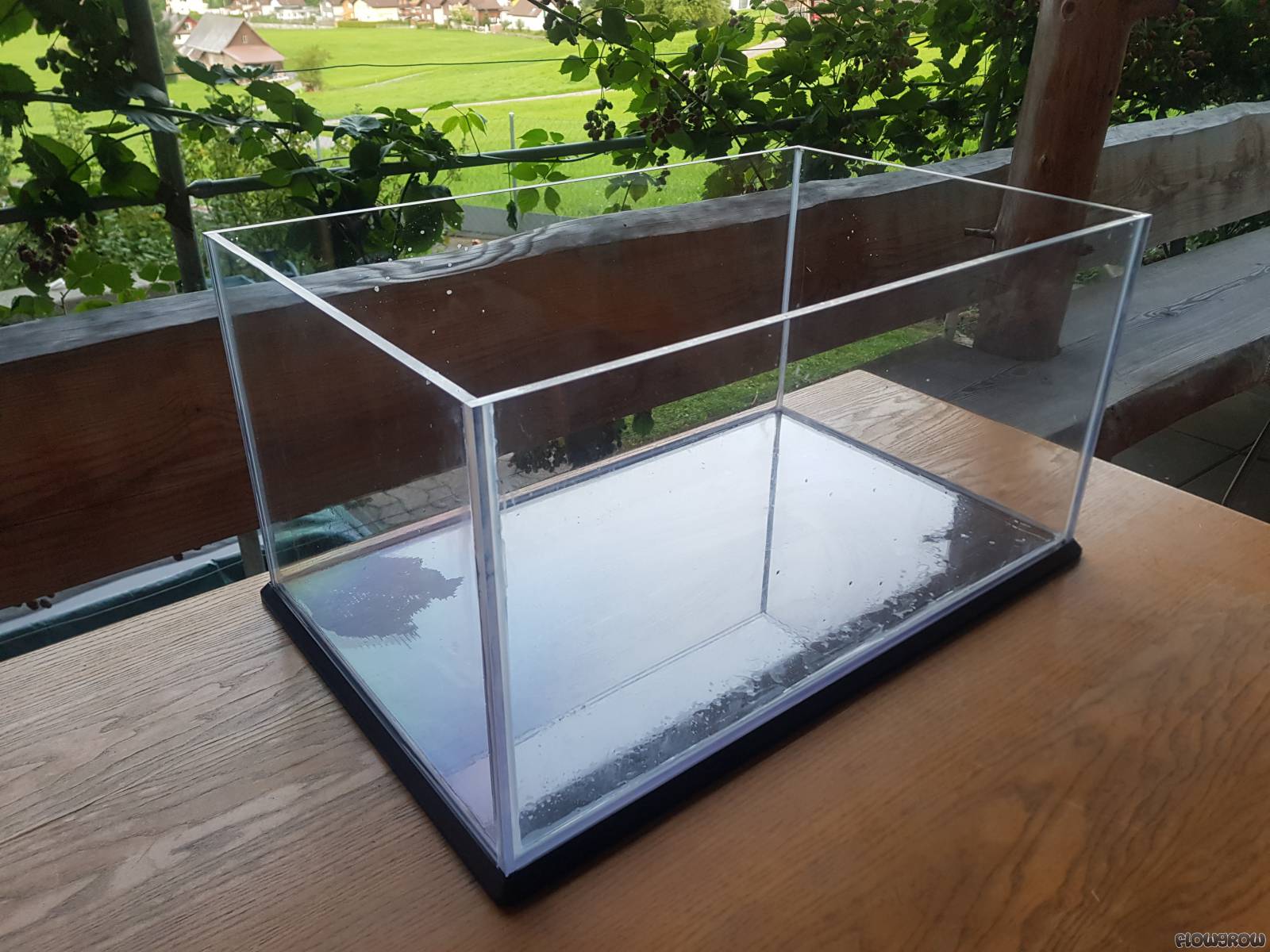 DIY 60P Acryl Flowgrow Aquascape/Aquarium Database