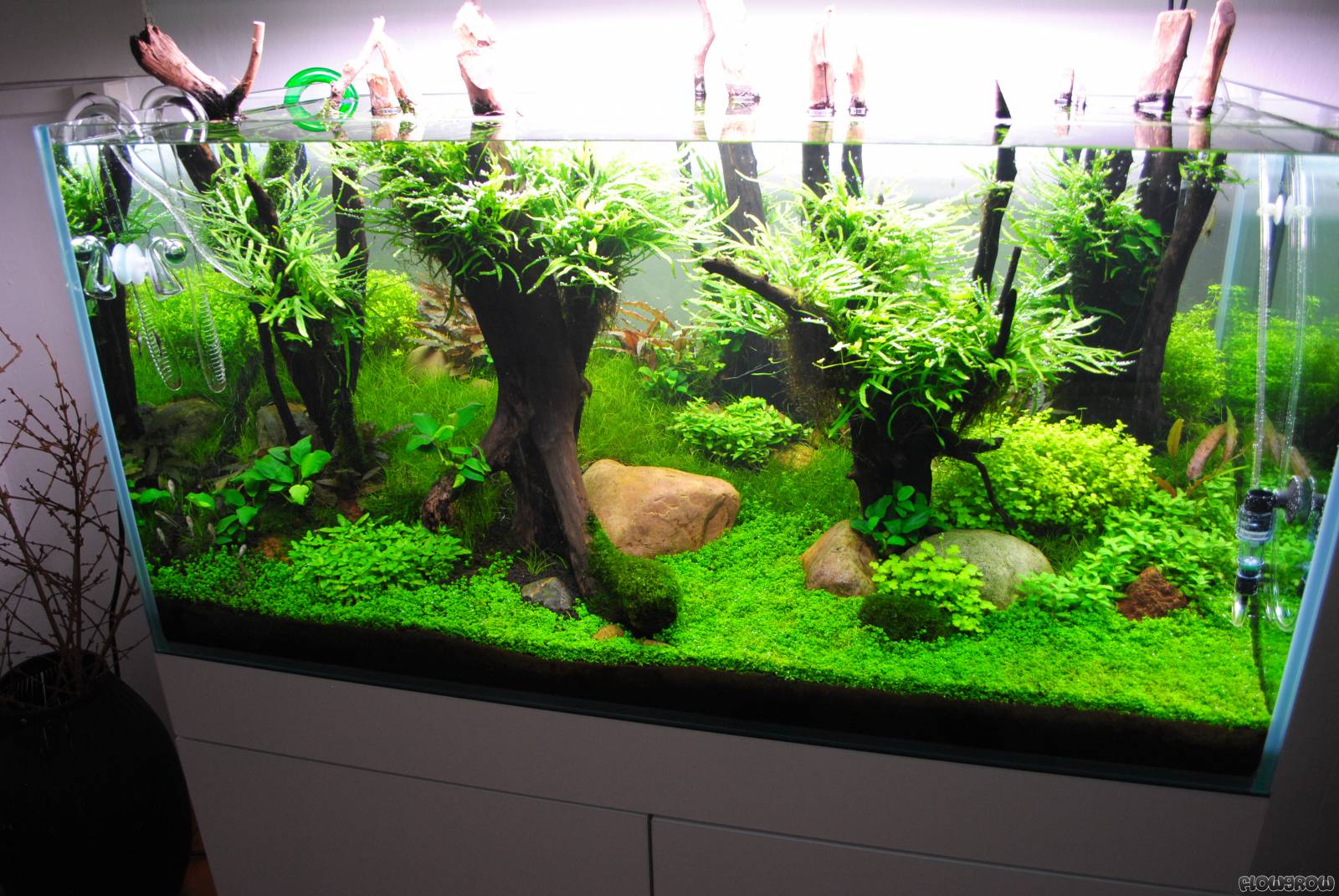 aquascape light calculator heimat flowgrow aquascape aquarium database aquascape light calculator heimat flowgrow aquascape aquarium database