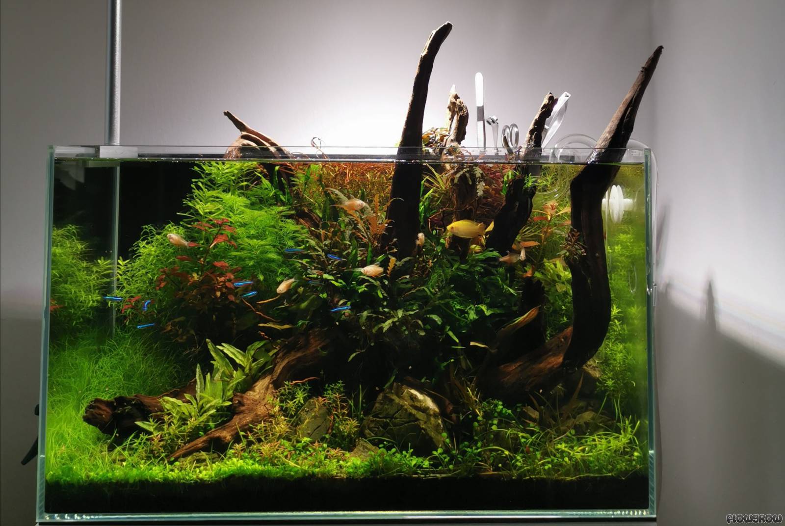 Sol technique - sol aquarium fonds - De Belgische webshop voor al uw  aquascaping producten en projecten.