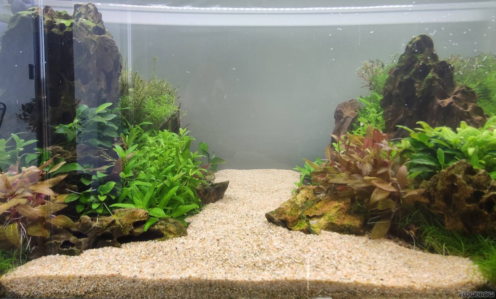 Two Islands Flowgrow Aquascape/Aquarium Database