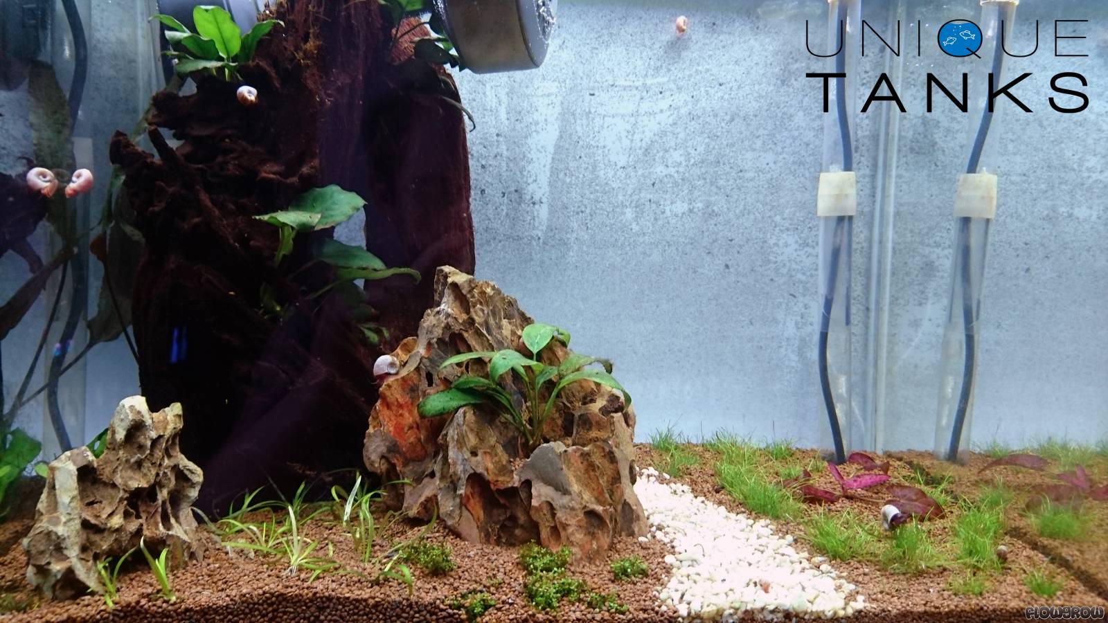 Unique aquariums hotsell
