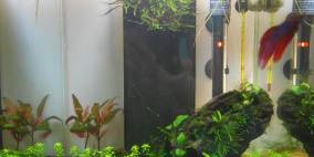 Aqualantis Nano Cubic 40 - Flowgrow Aquascape/Aquarium Database