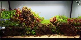 Lava Cliff - Flowgrow Aquascape/Aquarium Database