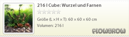 $216 l Cube: Wurzel und Farnen