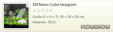 $30l Nano Cube Iwagumi