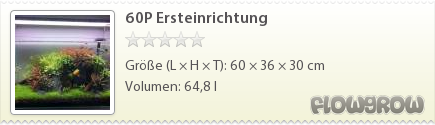 $60P Ersteinrichtung