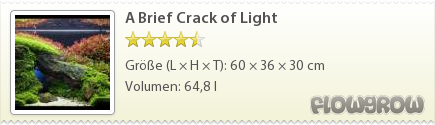 $A Brief Crack of Light