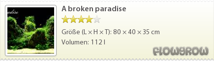 $A broken paradise