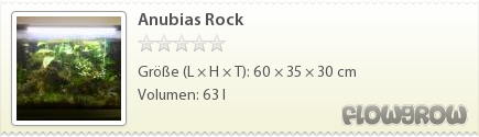 $Anubias Rock