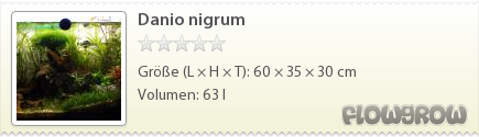 $Danio nigrum $Danio nigrum