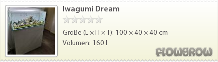 $Iwagumi Dream