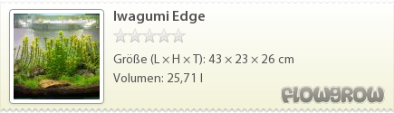 $Iwagumi Edge