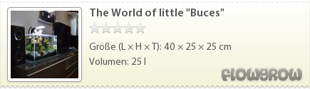 $The World of little "Buces"