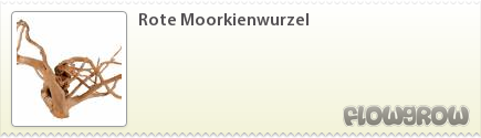 $Rote Moorkienwurzel