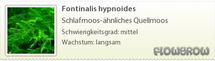 $Fontinalis hypnoides