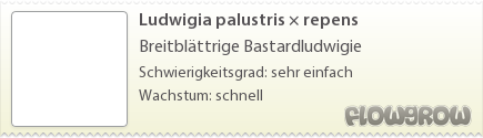$Ludwigia palustris × repens