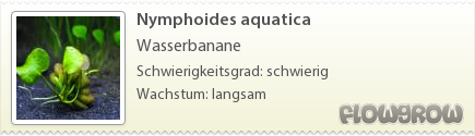 $Nymphoides aquatica