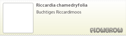 $Riccardia chamedryfolia