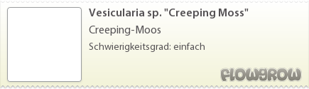 $Vesicularia sp. "Creeping Moss"