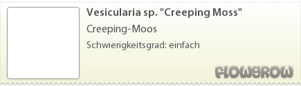 $Vesicularia sp. "Creeping Moss" $Vesicularia sp. "Creeping Moss"
