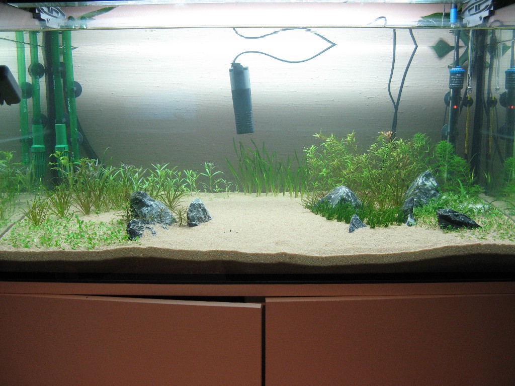 Aquarium 13.12.2007-1