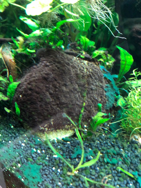 Aquarium 14