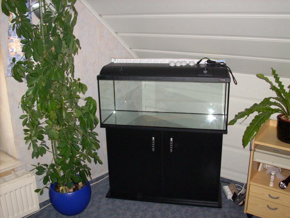 Aquarium Aufbau