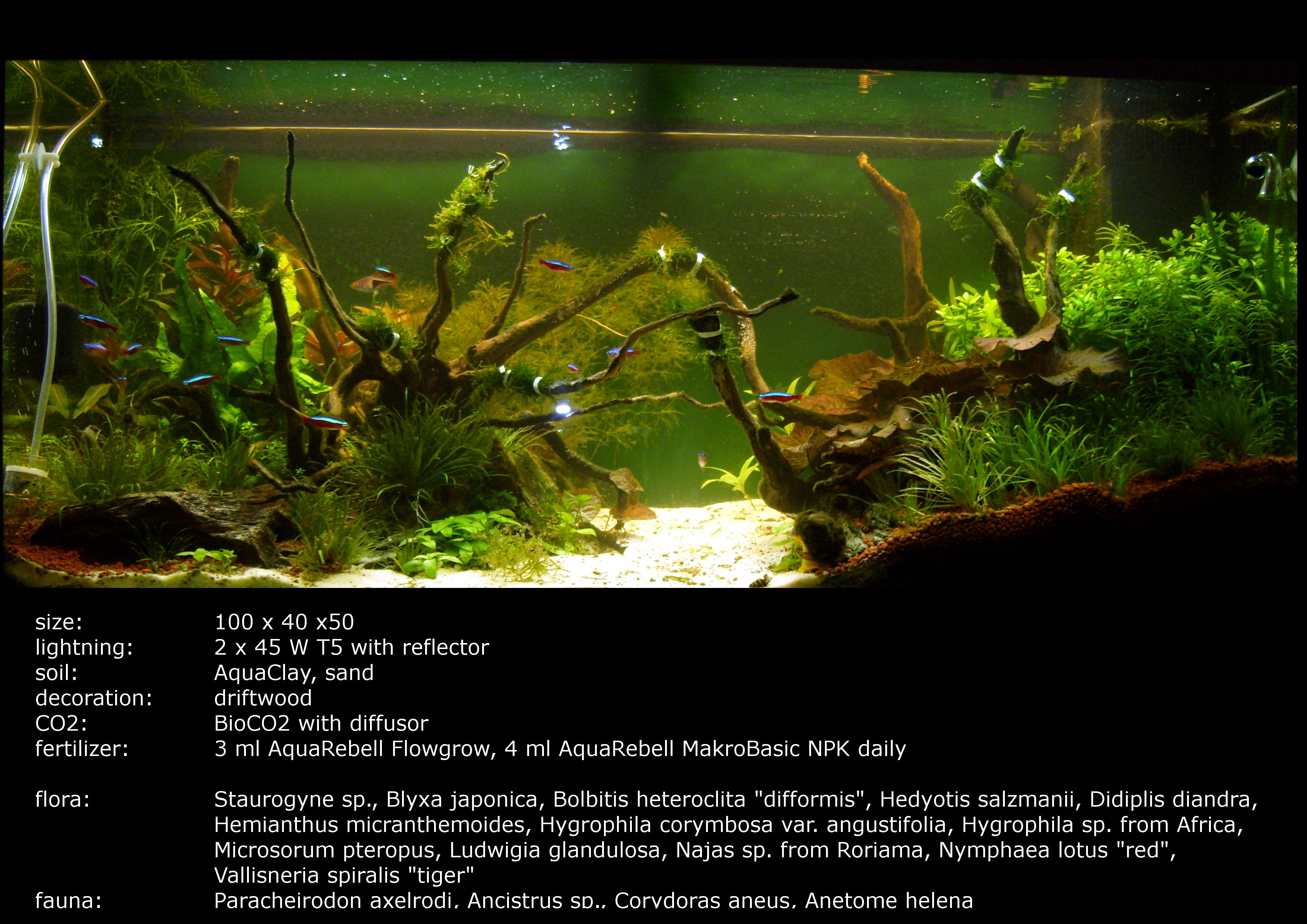 aquarium with info 2010 02 01