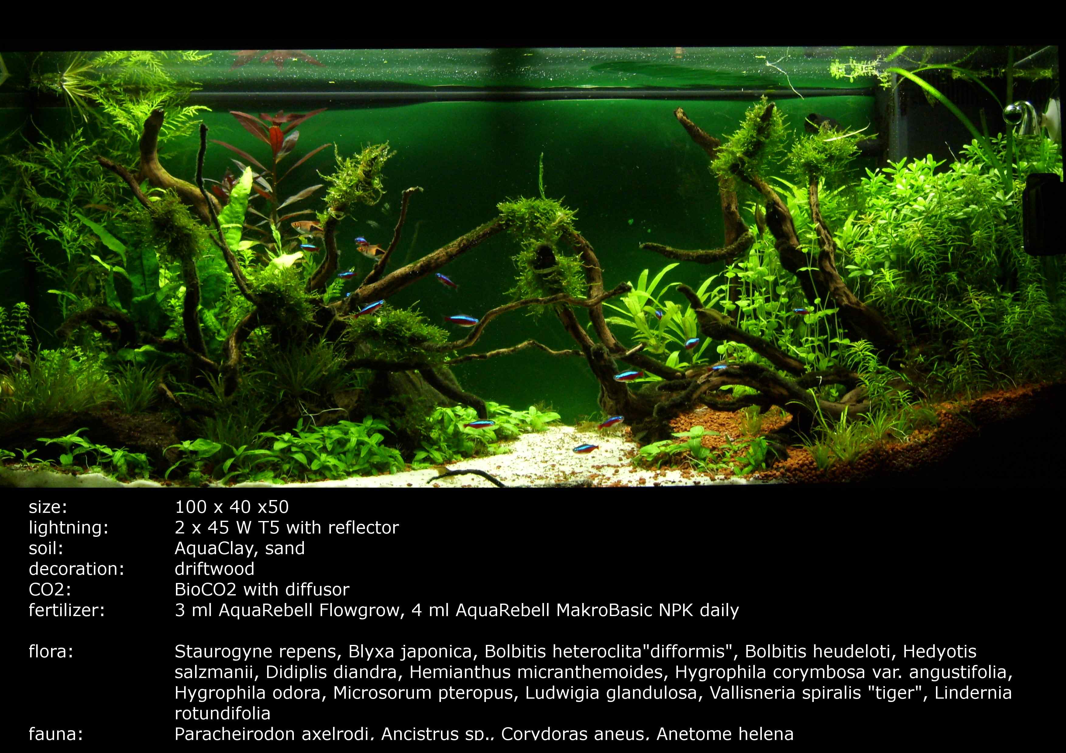 aquarium with info 2010 02 19