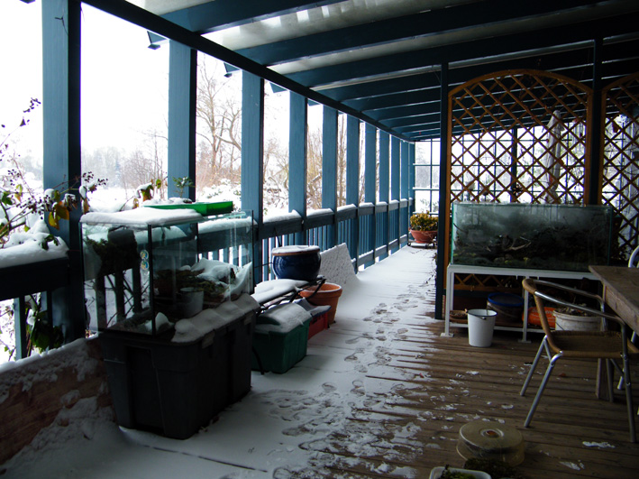 Der frühe Wintereinbruch stoppte den Bau des 2. Moosbeckens auf der Veranda