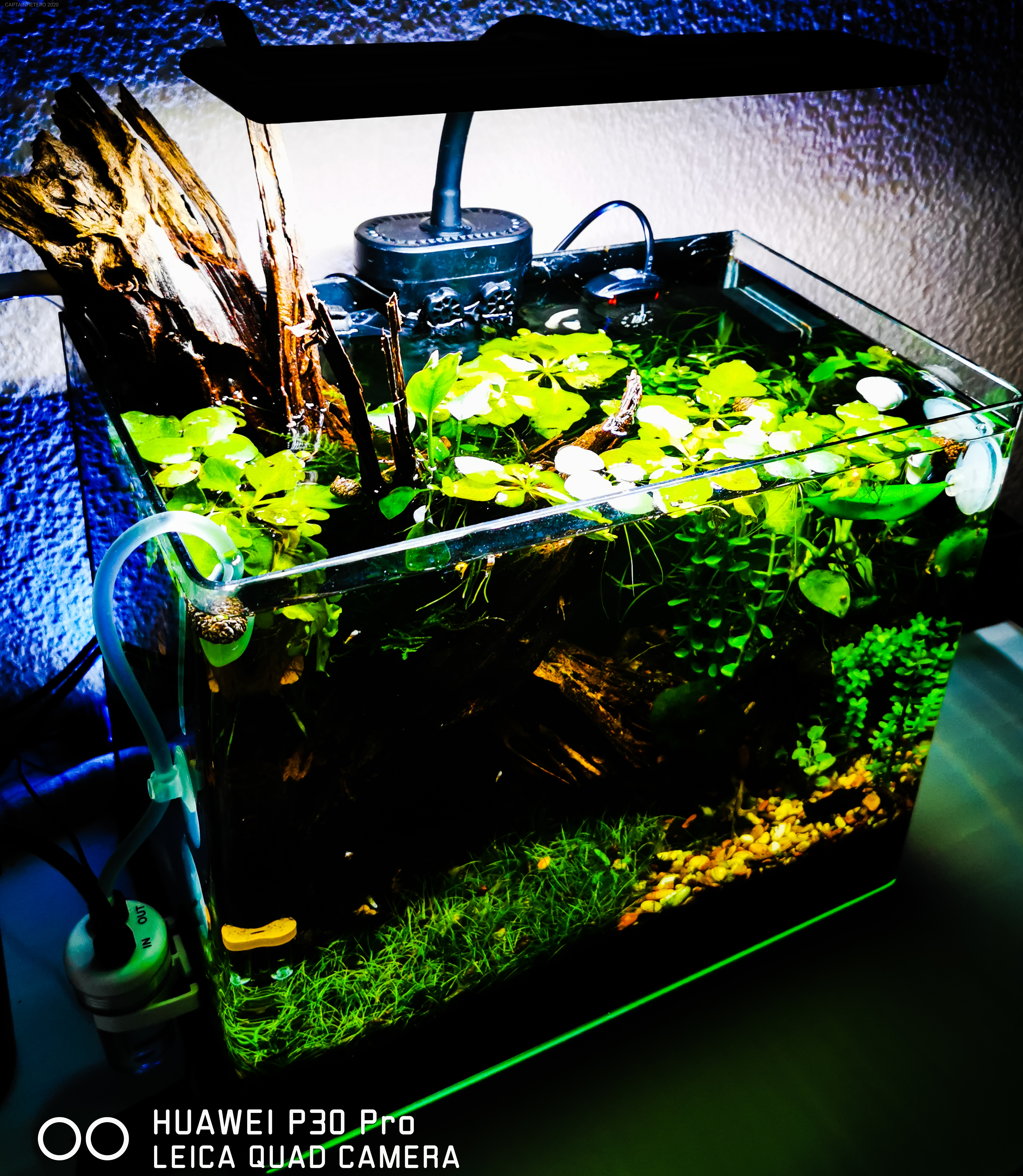 Nano 20l