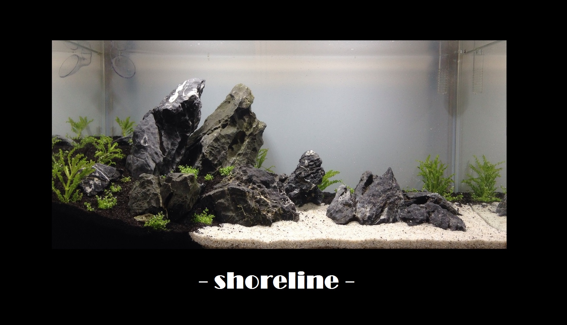 Tag 1 - shoreline