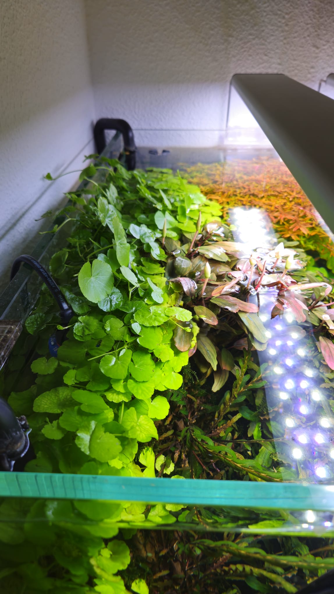 WhatsApp Bild 2025-04-13 um 12.26.22_7c70dc5d.jpg